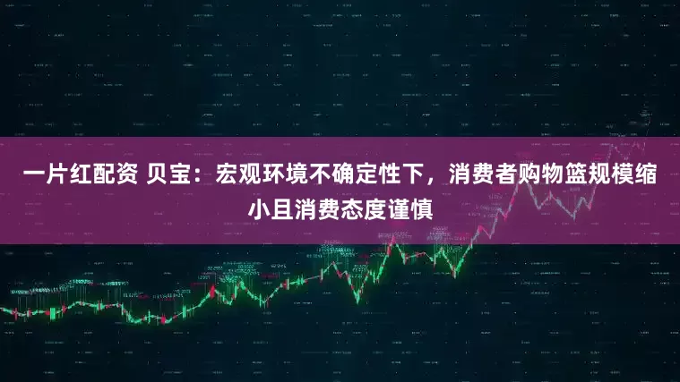 一片红配资 贝宝：宏观环境不确定性下，消费者购物篮规模缩小且消费态度谨慎
