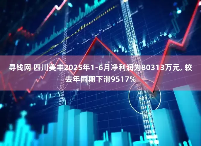寻钱网 四川美丰2025年1-6月净利润为80313万元, 较去年同期下滑9517%