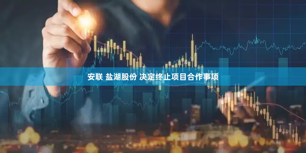 安联 盐湖股份 决定终止项目合作事项